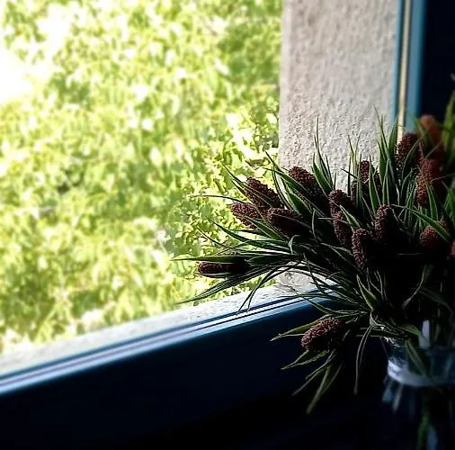Semesterbostad House Mlun *
