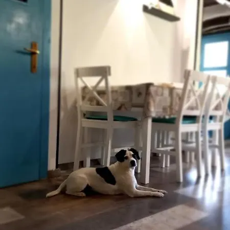 House Mlun Prázdninový dům Buzet