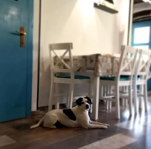 House Mlun Feriehus Buzet